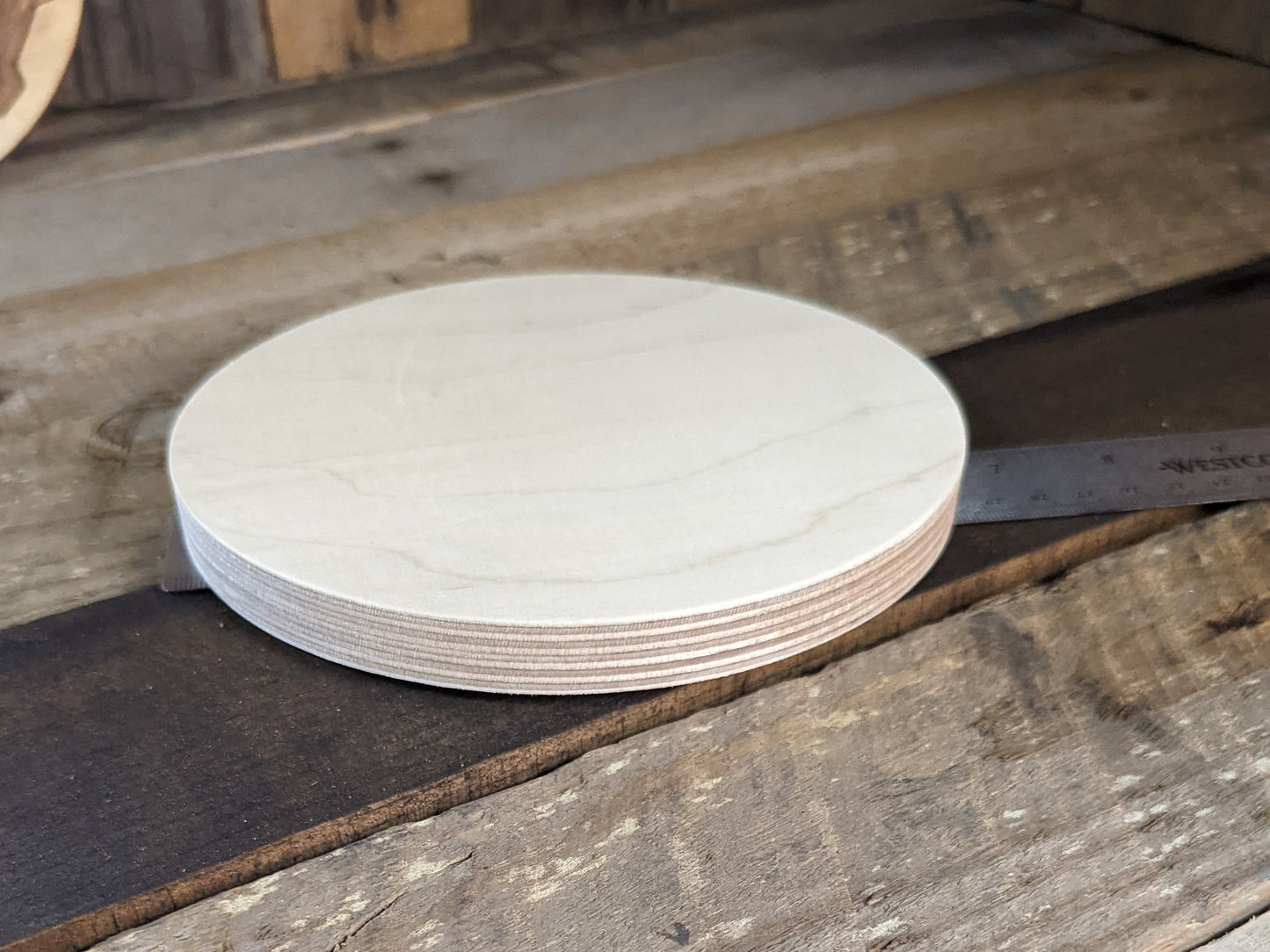 6.5" Wood Circle Disc Plaques, BALTIC BIRCH - Wooden Circles, Blank Circles, Unfinished Wooden Circles, Round Circles, Circular Wood