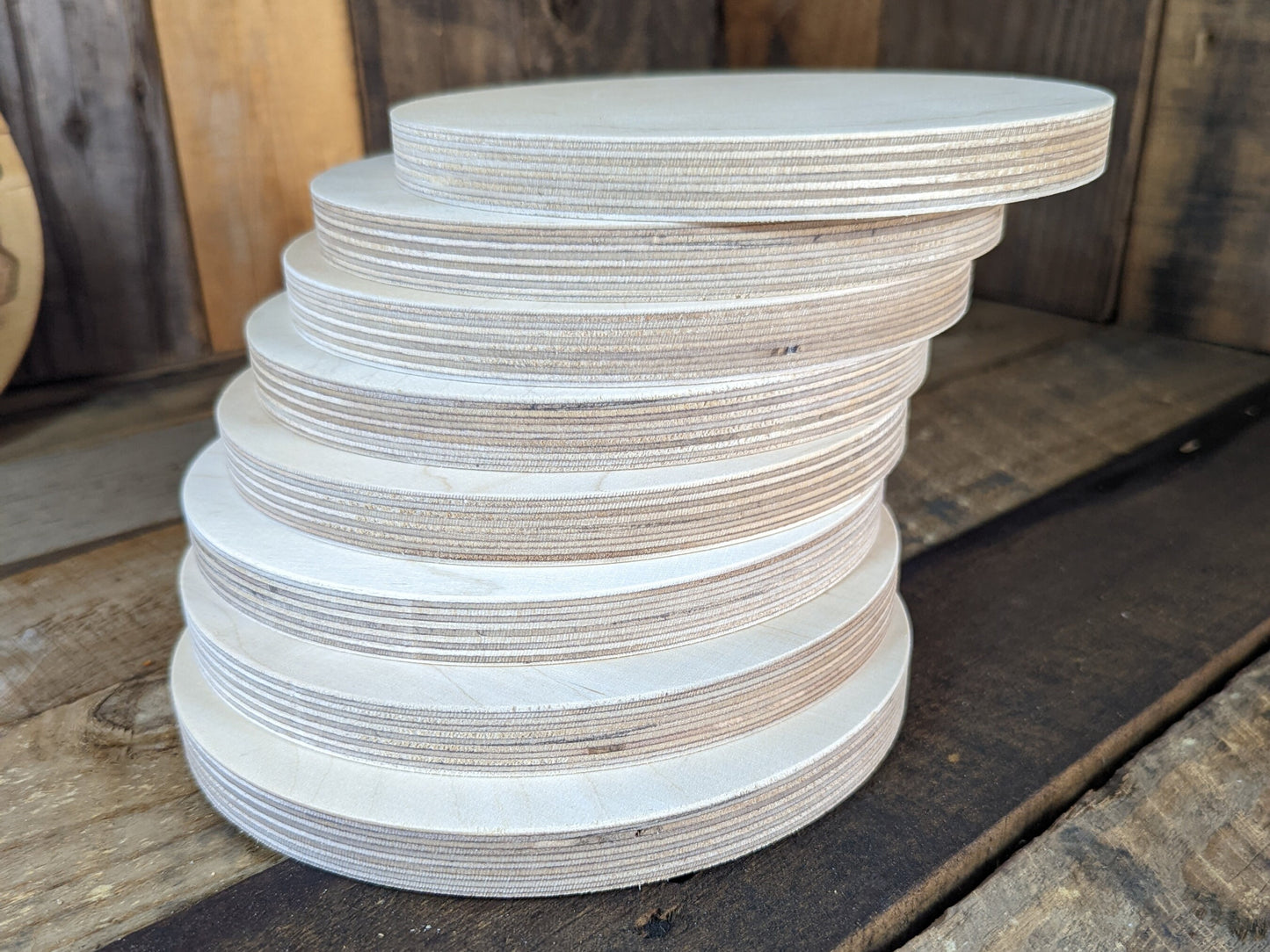 6.5" Wood Circle Disc Plaques, BALTIC BIRCH - Wooden Circles, Blank Circles, Unfinished Wooden Circles, Round Circles, Circular Wood