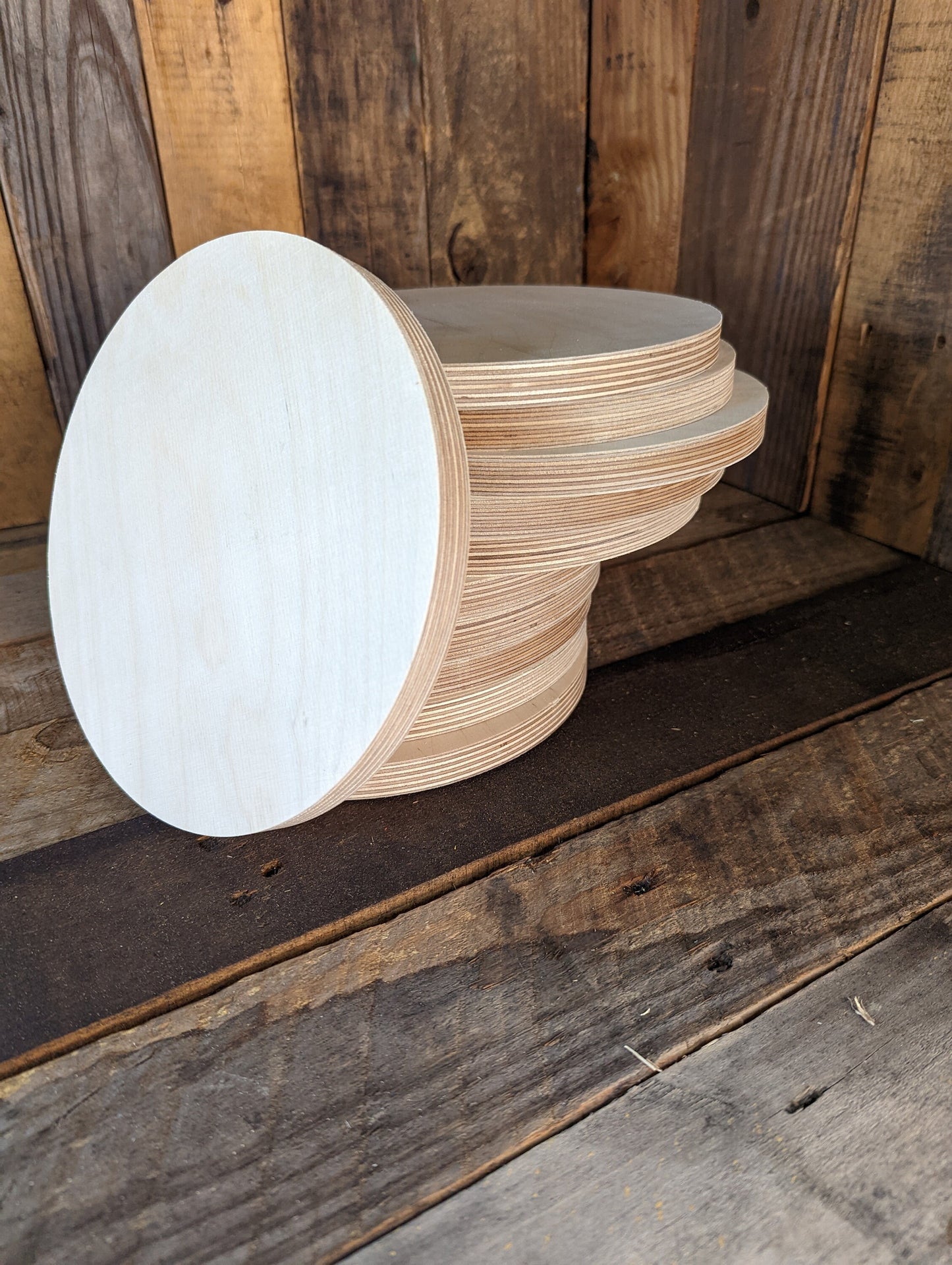 8" Wood Circle Disc Plaques, BALTIC BIRCH Wooden Circles, Blank Circles, Unfinished Wooden Circles, Round Circles, Circular Wood