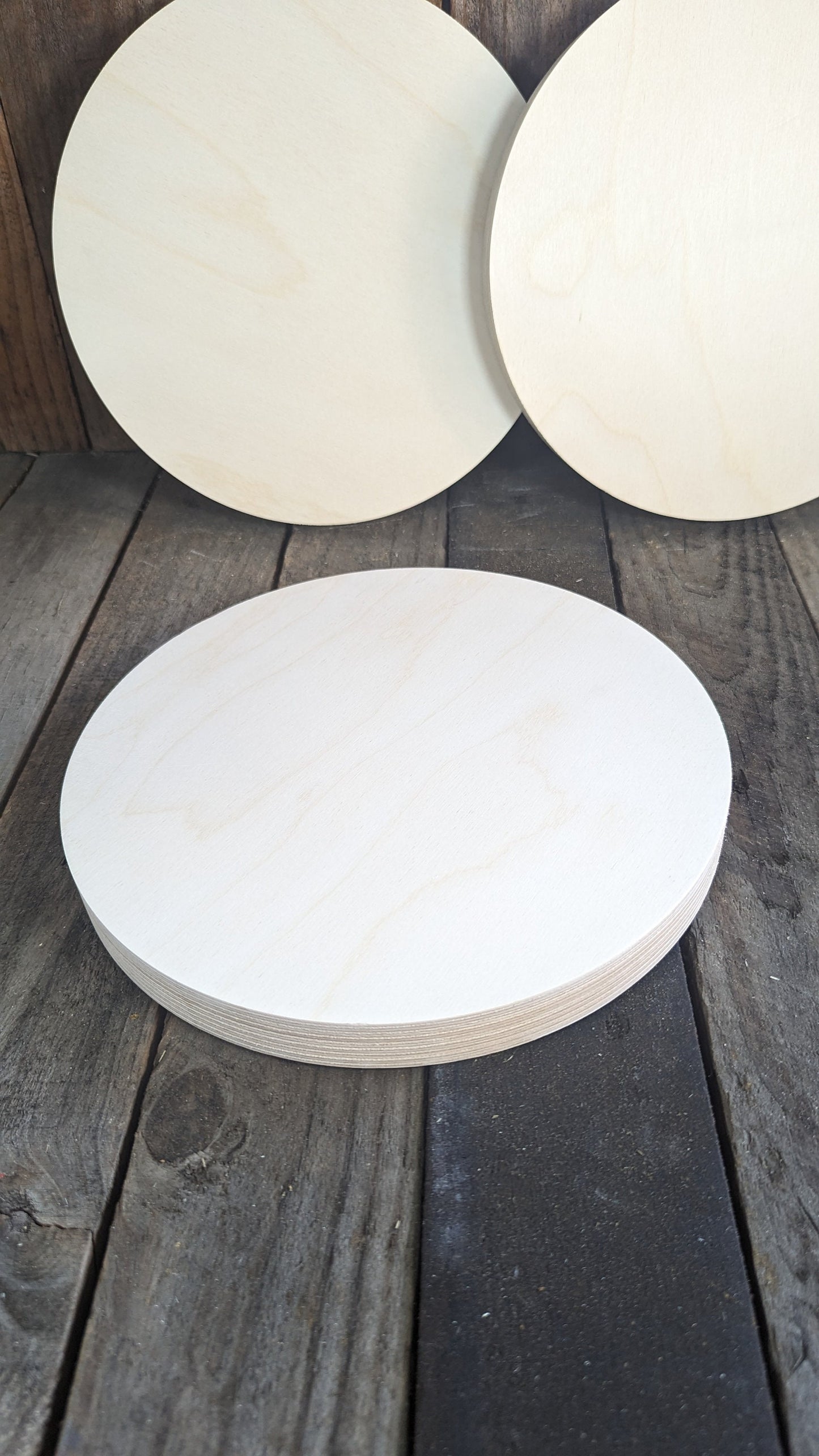 10" Wood Circle Disc Plaques, BALTIC BIRCH Wooden Circles, Blank Circles, Unfinished Wooden Circles, Round Circles, DIY Crafting Supplies