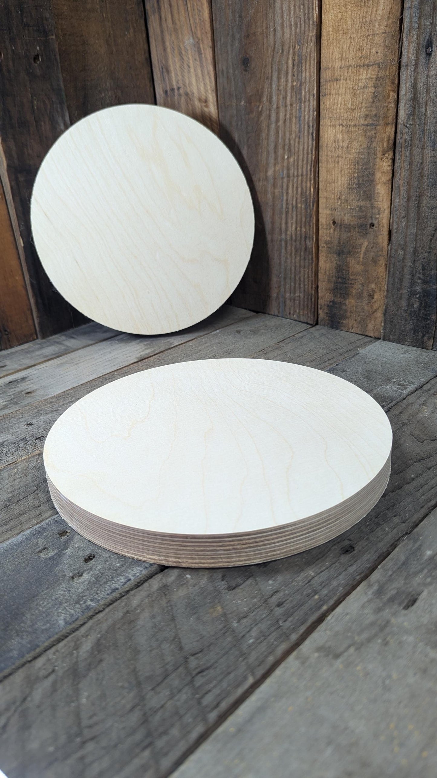 9.75" Wood Circle Disc Plaques, BALTIC BIRCH Wooden Circles, Blank Circles, Circles, Circular Wood, DIY, Craft