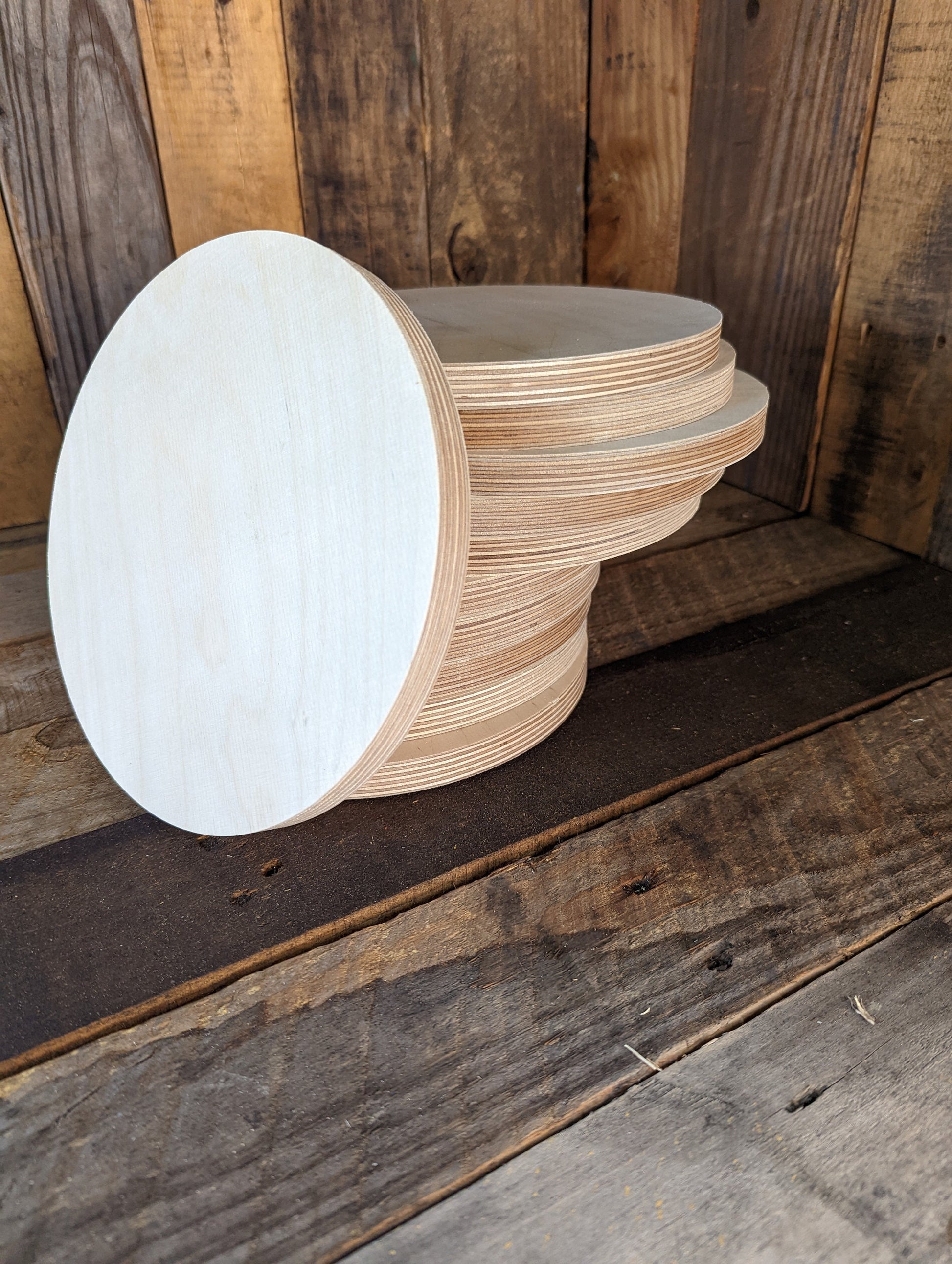 8" Wood Circle Disc Plaques, BALTIC BIRCH Wooden Circles, Blank Circles, Unfinished Wooden Circles, Round Circles, Circular Wood