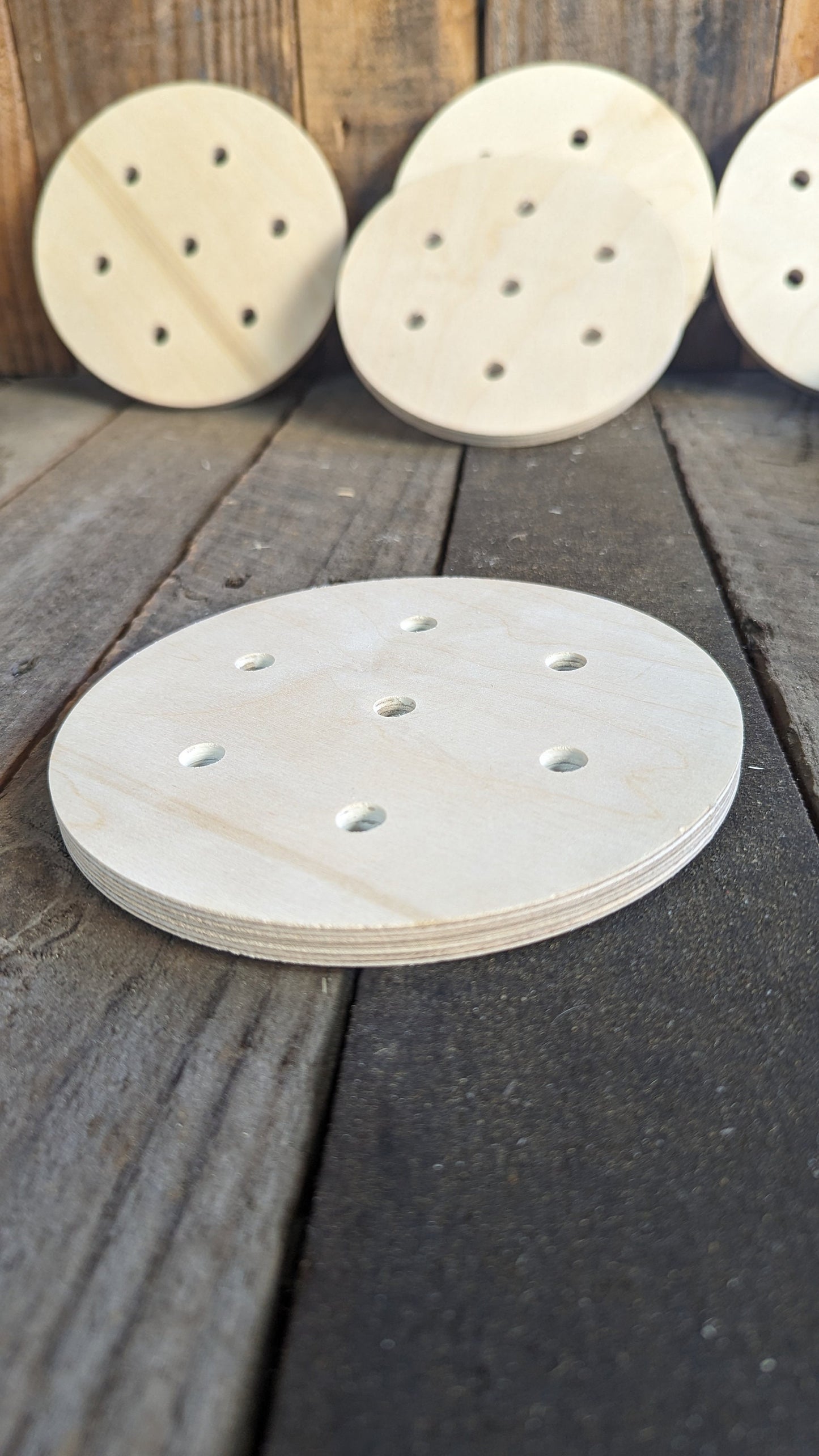 6" Baltic Birch Squirrel Cage End Wood, Unfinished Wooden Disc, DIY Craft Supply