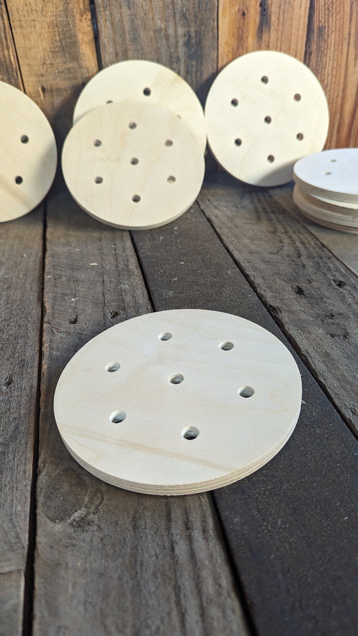 6" Baltic Birch Squirrel Cage End Wood, Unfinished Wooden Disc, DIY Craft Supply