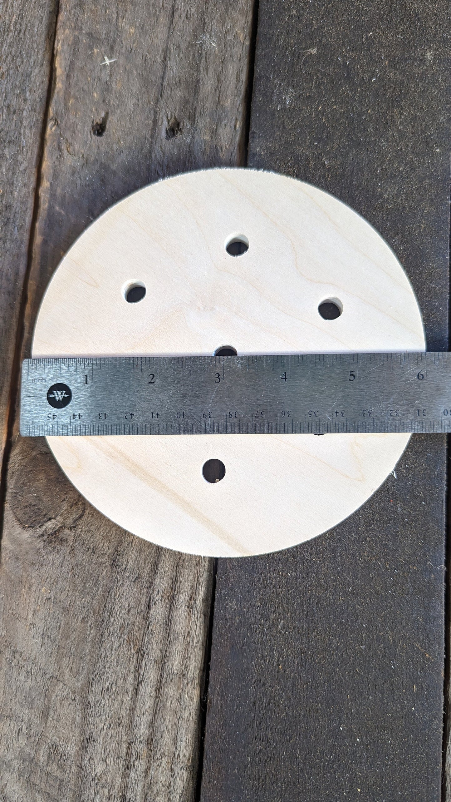6" Baltic Birch Squirrel Cage End Wood, Unfinished Wooden Disc, DIY Craft Supply