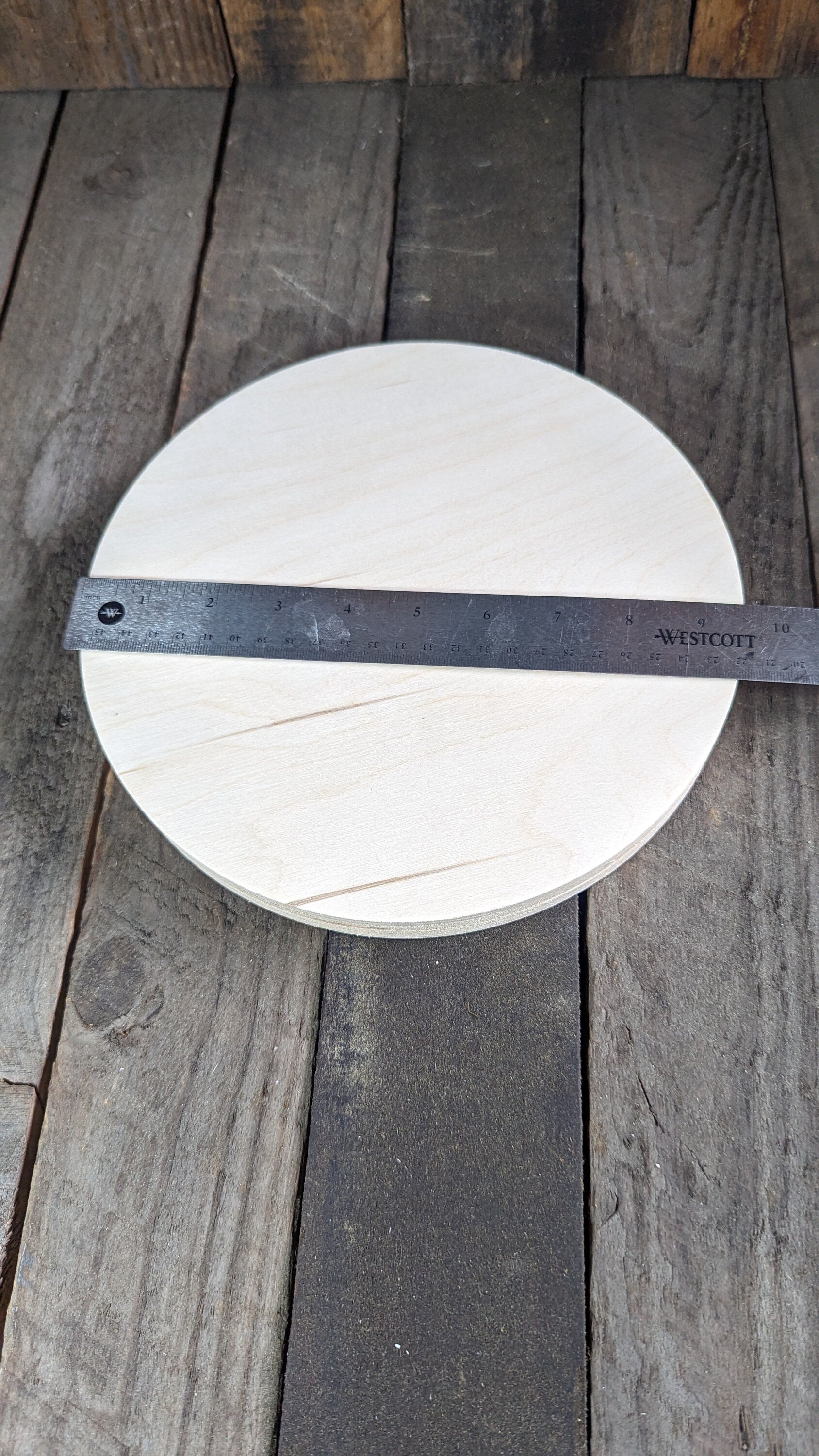 9.5" Baltic Birch Wood Circle, Craft or Sign Blank