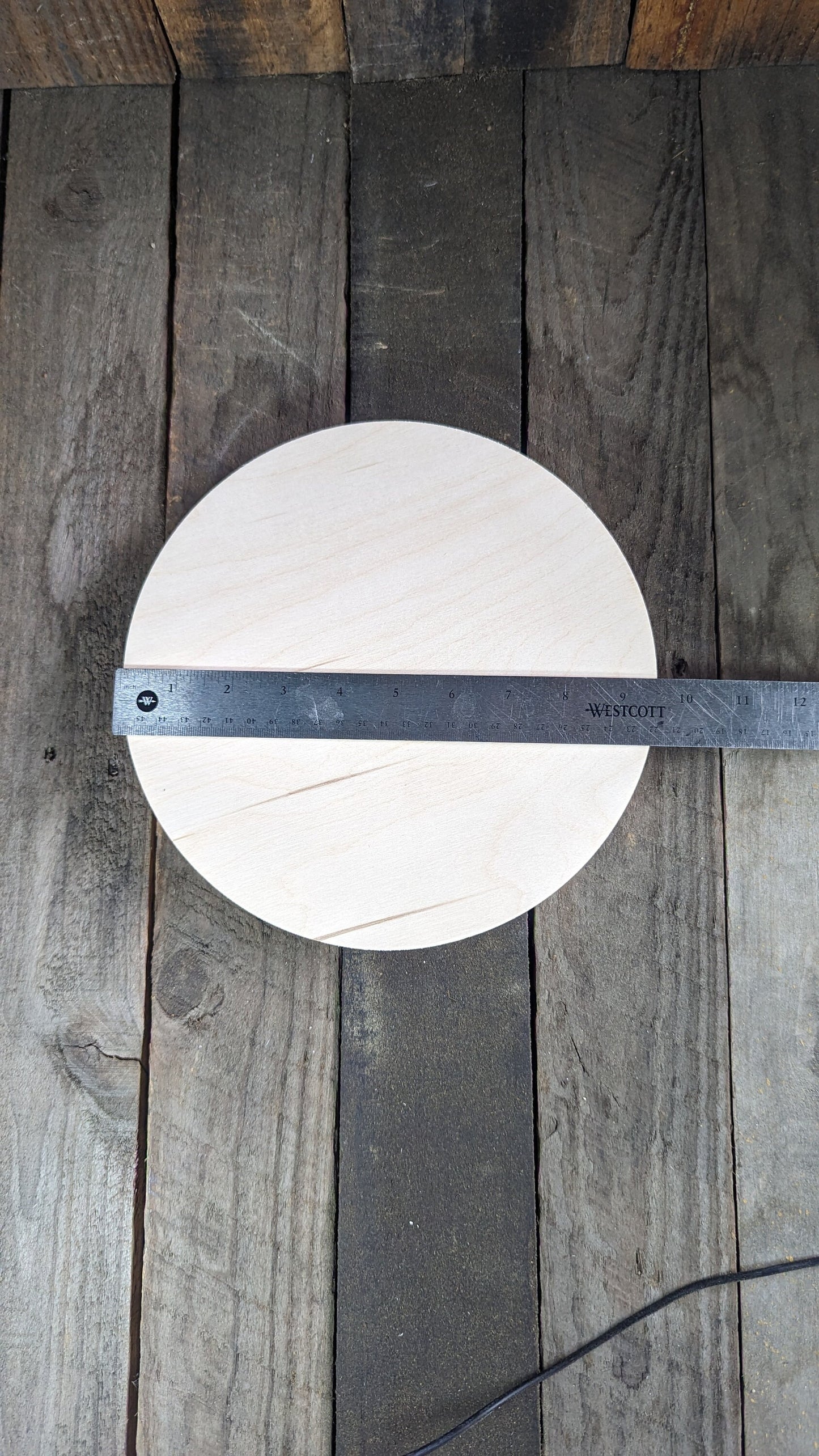 9.5" Baltic Birch Wood Circle, Craft or Sign Blank