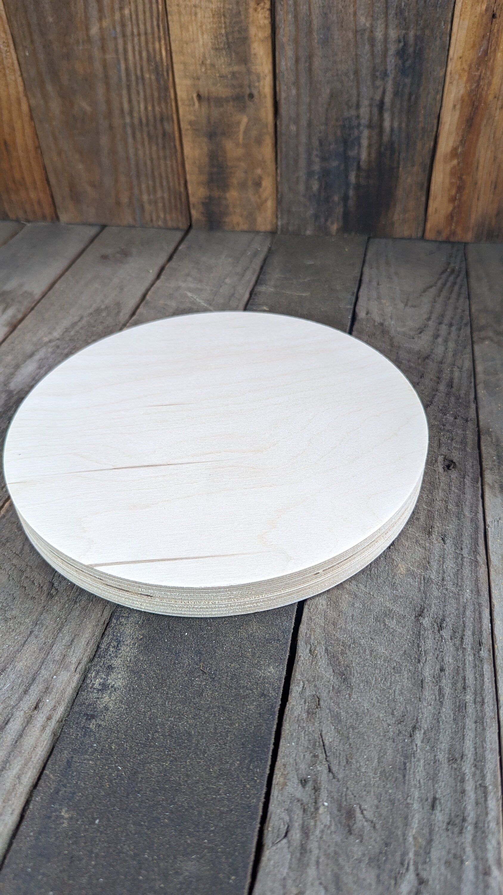 9.5" Baltic Birch Wood Circle, Craft or Sign Blank