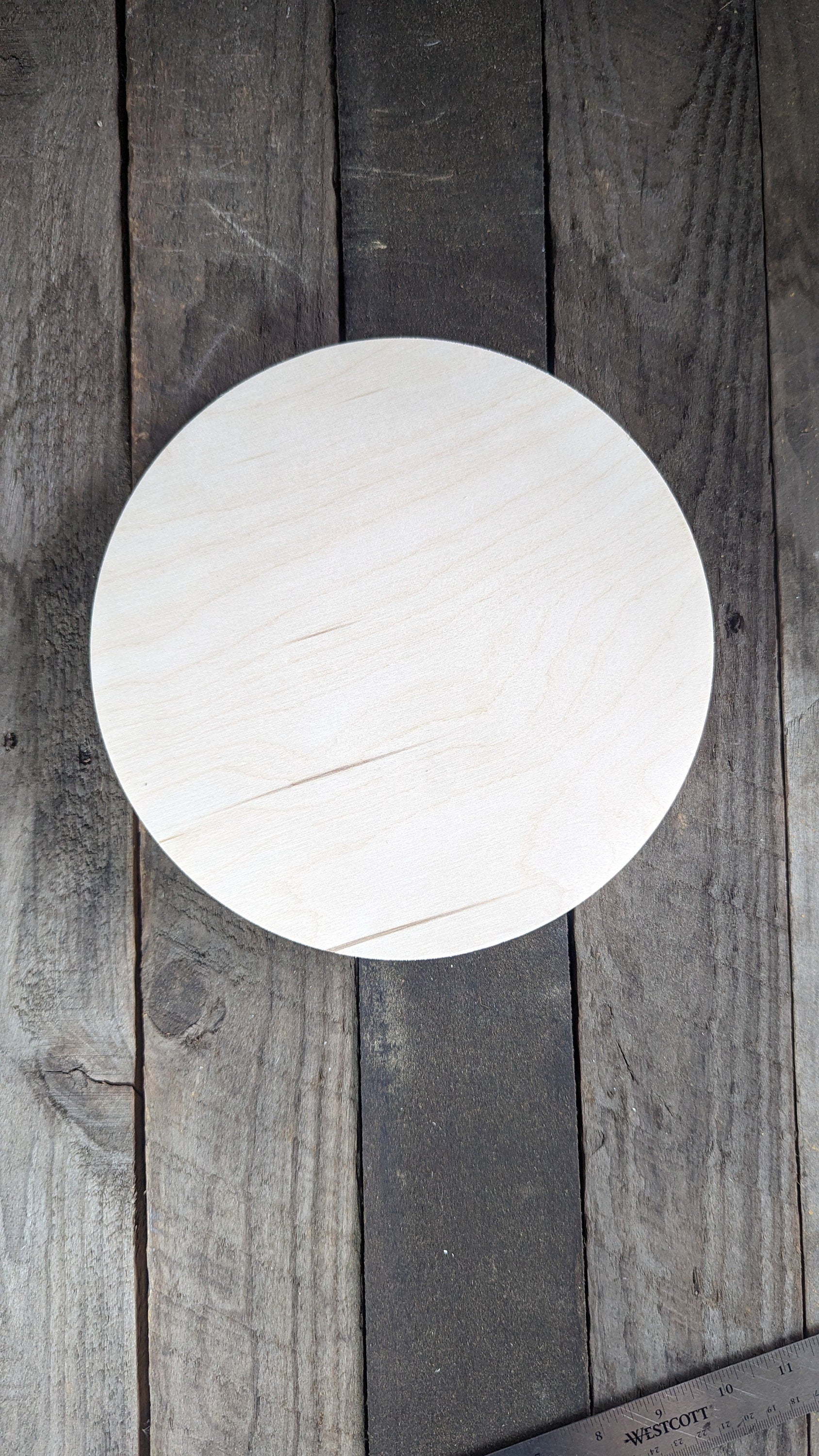 9.5" Baltic Birch Wood Circle, Craft or Sign Blank