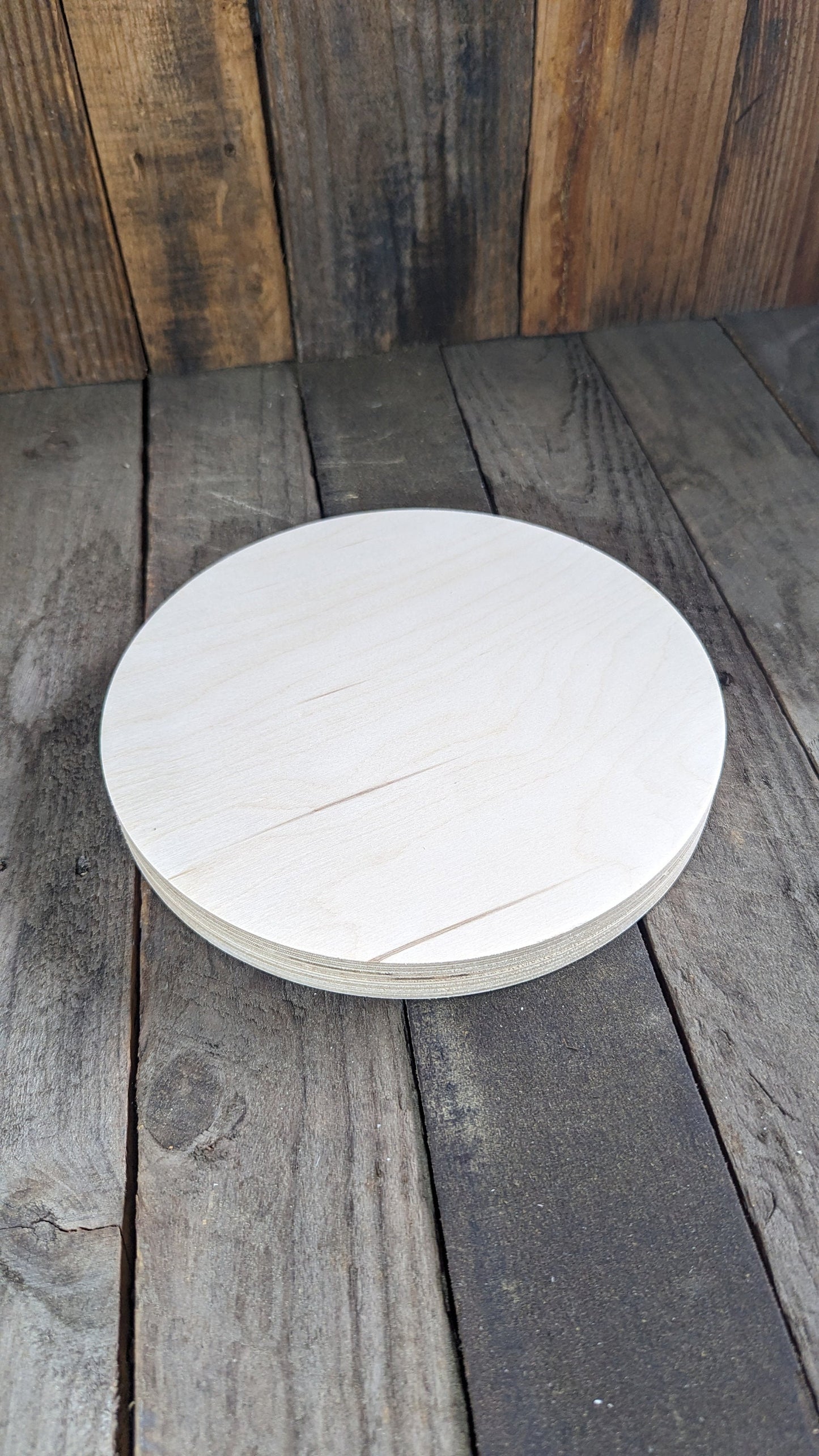 9.5" Baltic Birch Wood Circle, Craft or Sign Blank