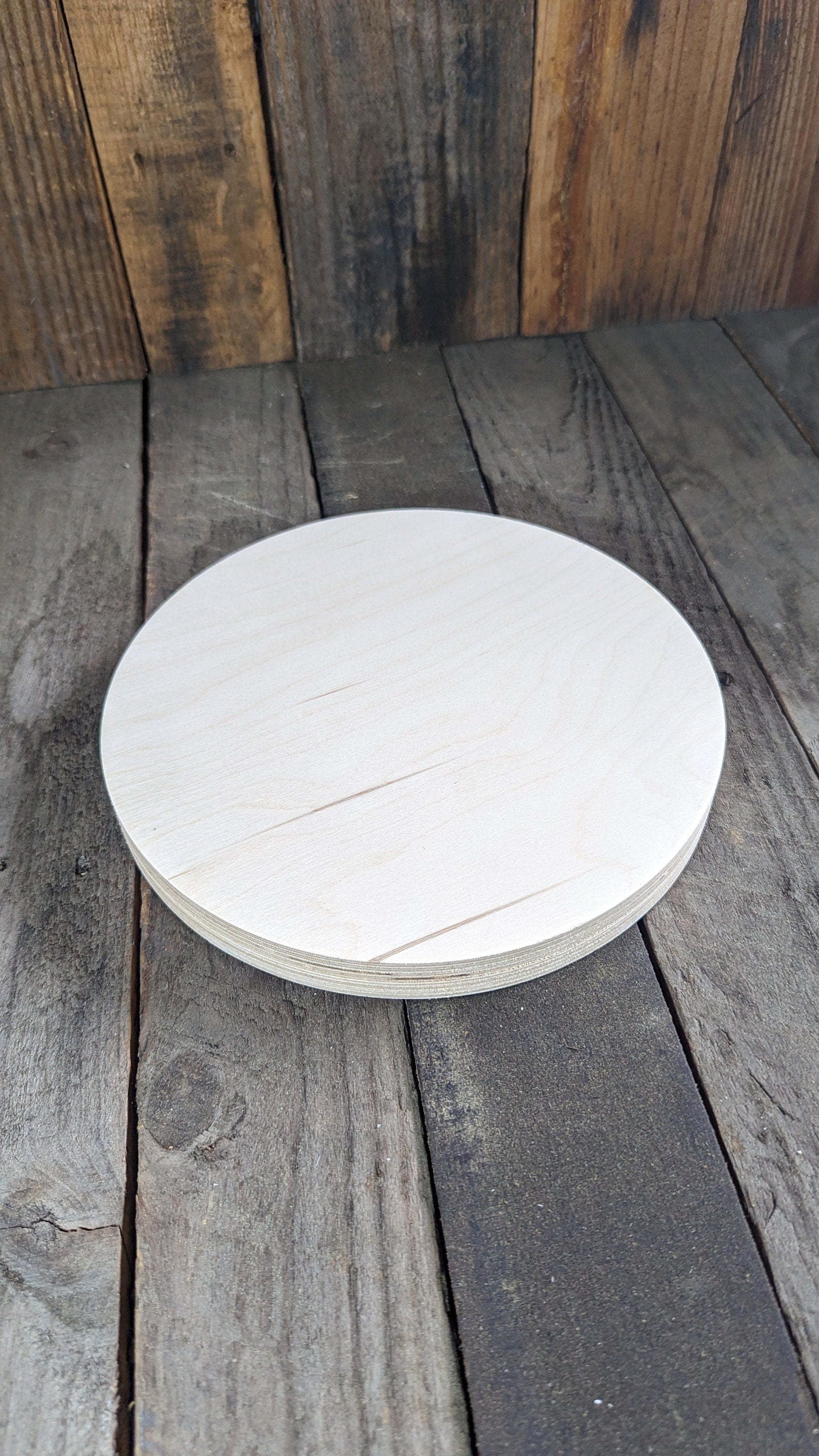 9.5" Baltic Birch Wood Circle, Craft or Sign Blank
