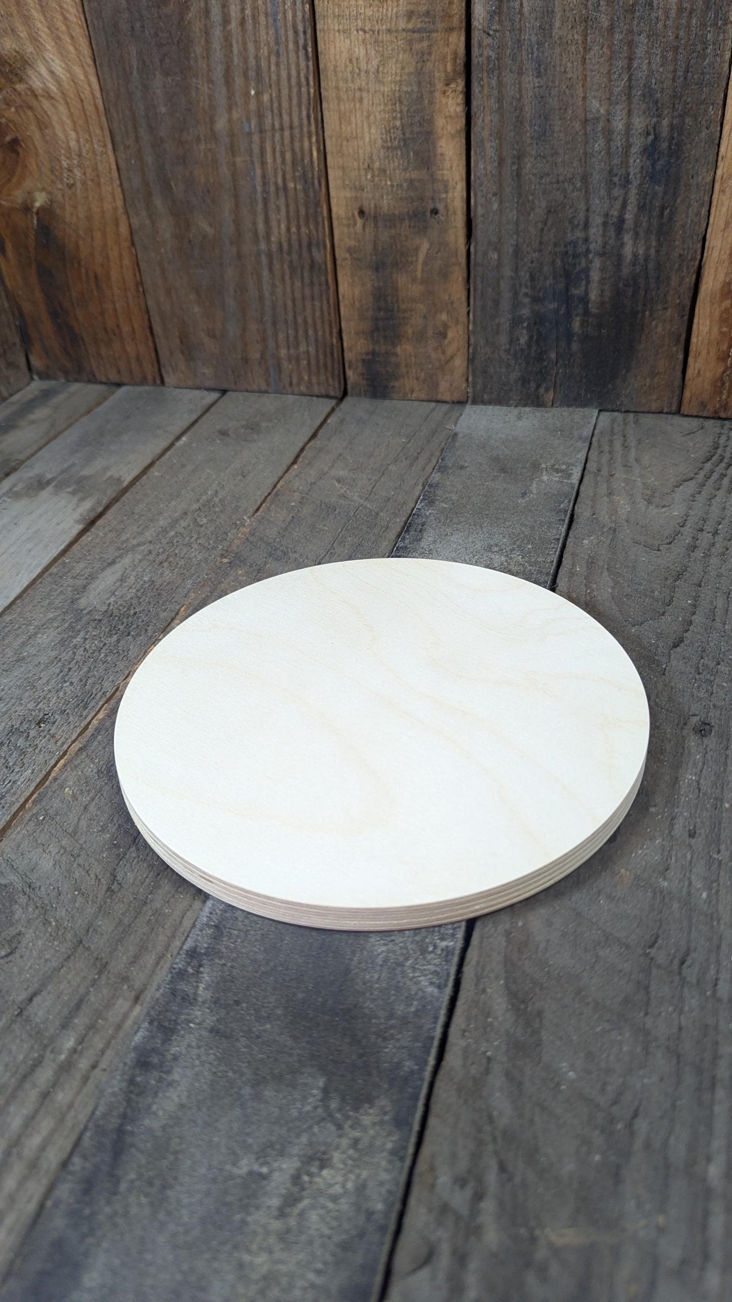 8.25" Baltic Birch Wood Circle, Unfinished Wooden Plaque, DIY Craft Supply