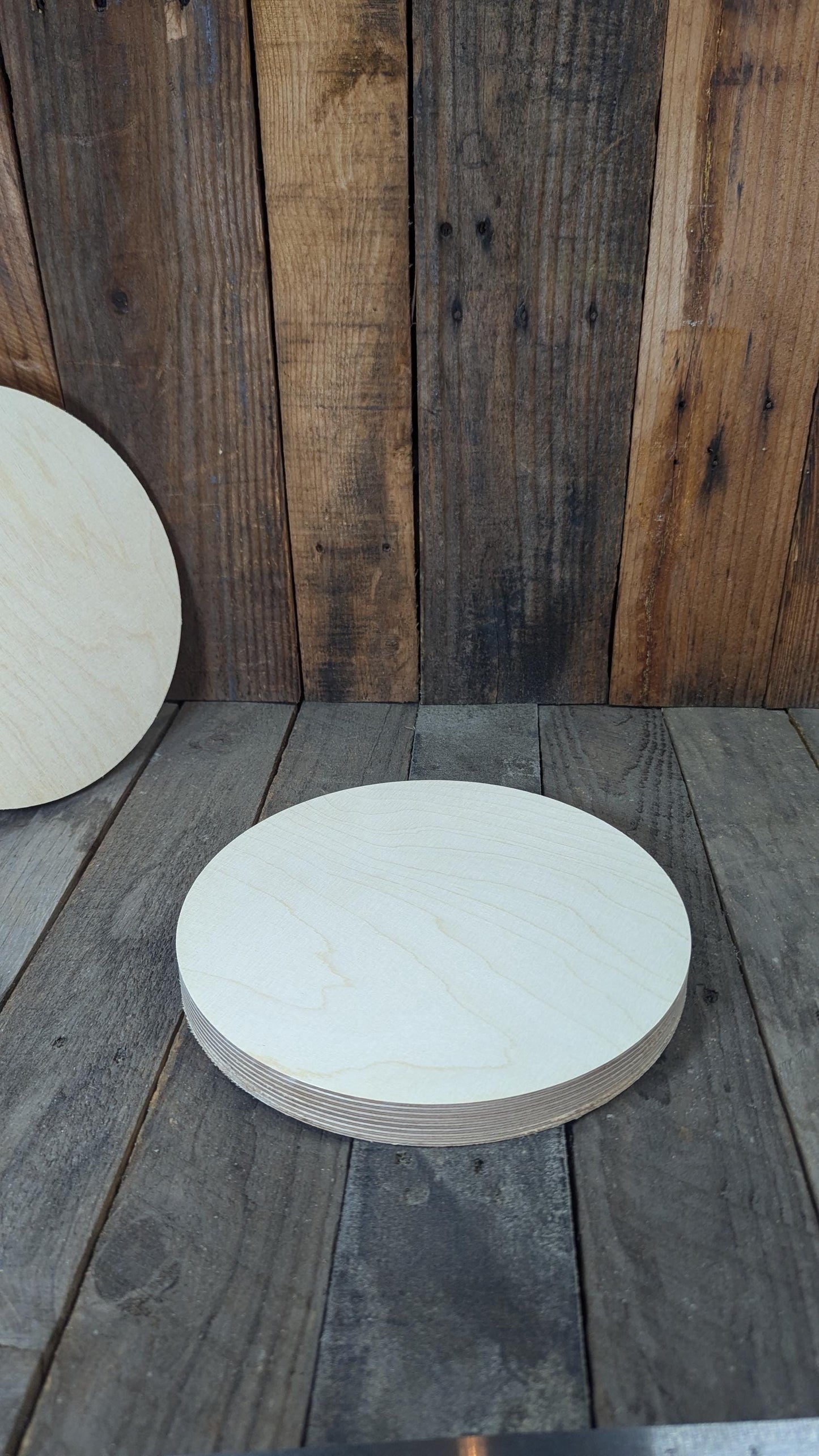 9.75" Baltic Birch Wood Circle, Craft DIY Blank Plaque