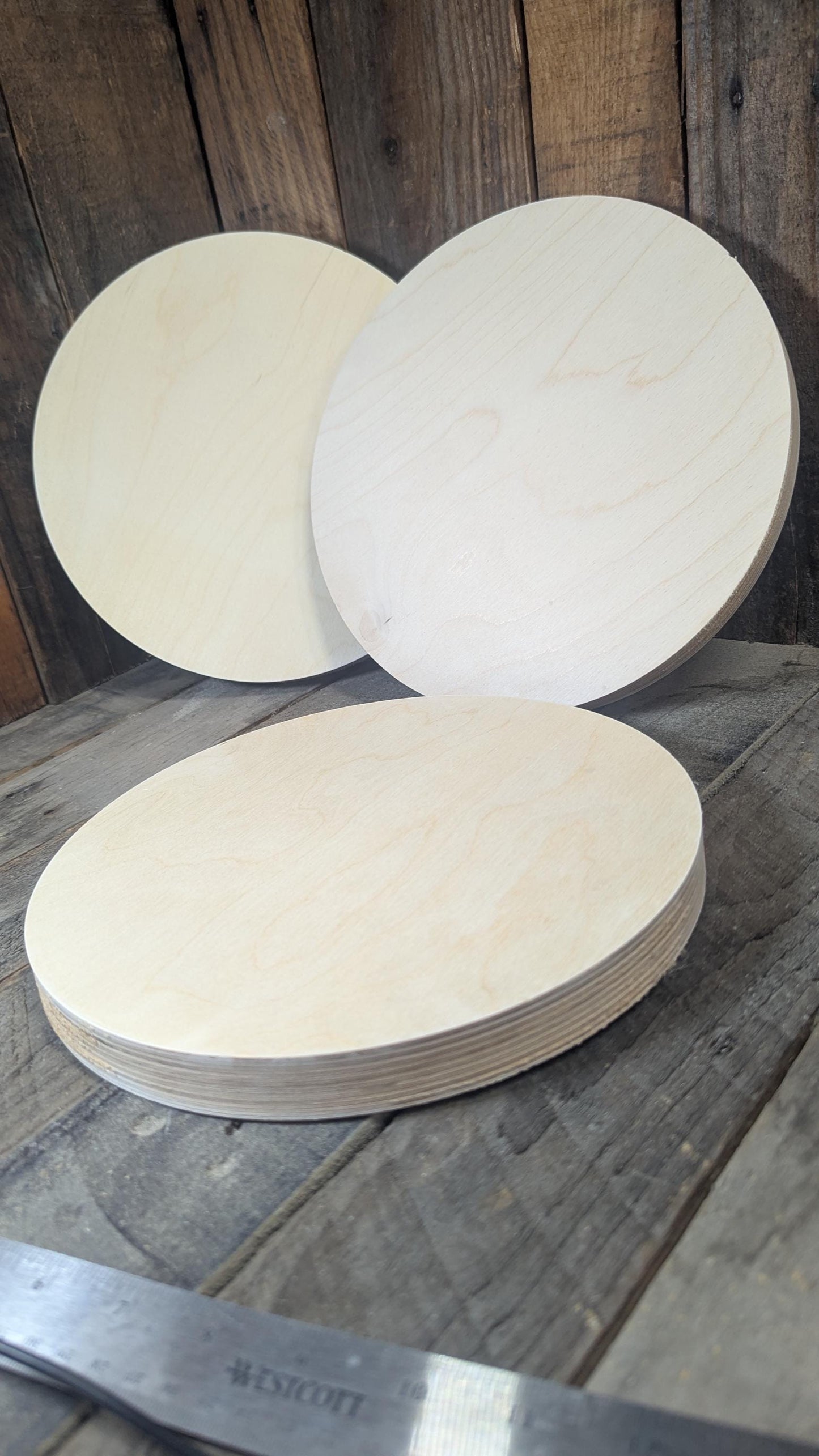 10.25" Baltic Birch Wood Circle, Unfinished Craft Supply
