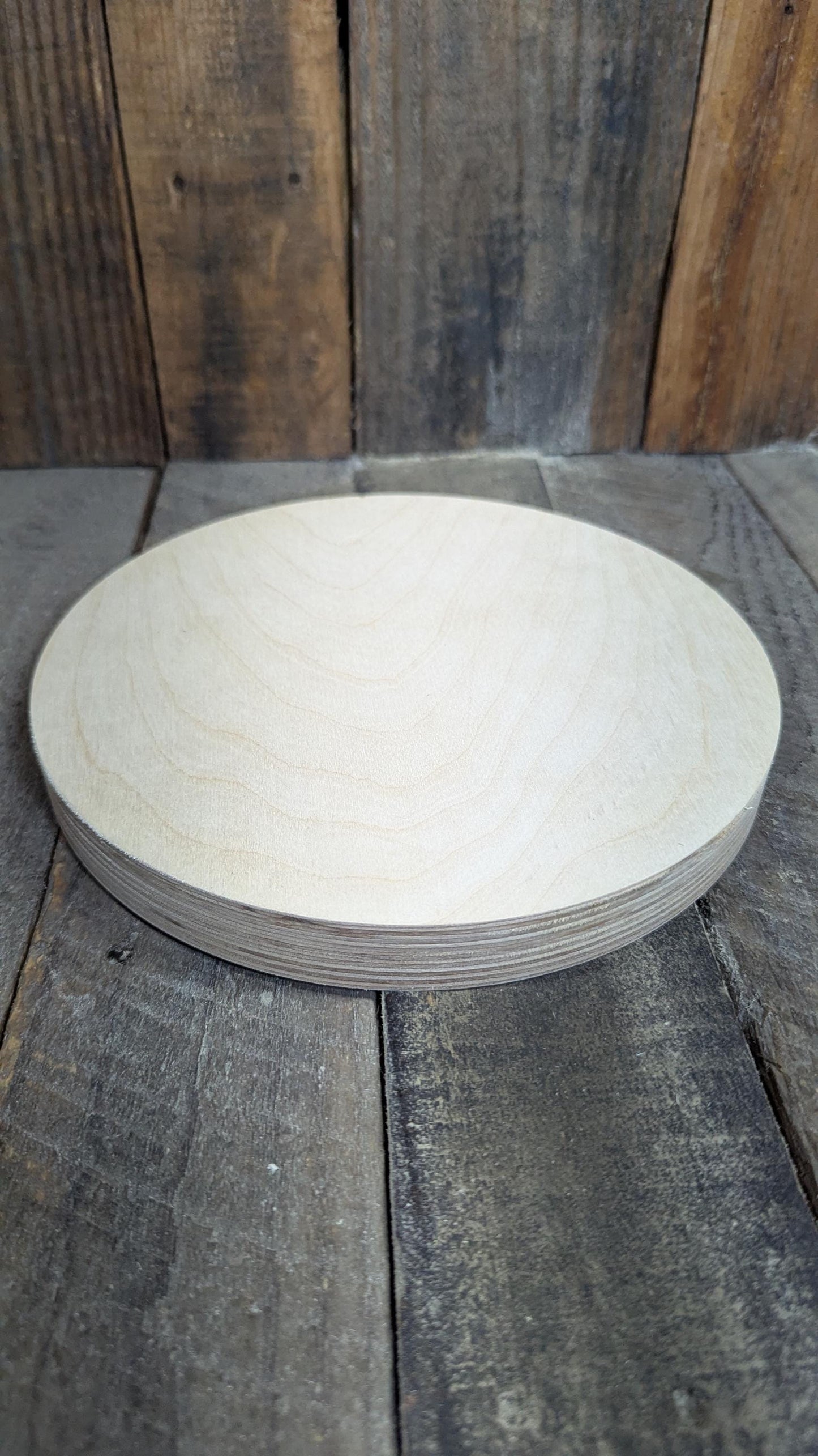 8.5" (8 1/2") Wood Circle Disc Plaques, BALTIC BIRCH Wooden Circles, Blank Circles, Unfinished Wooden Circles, DIY Crafting Supplies