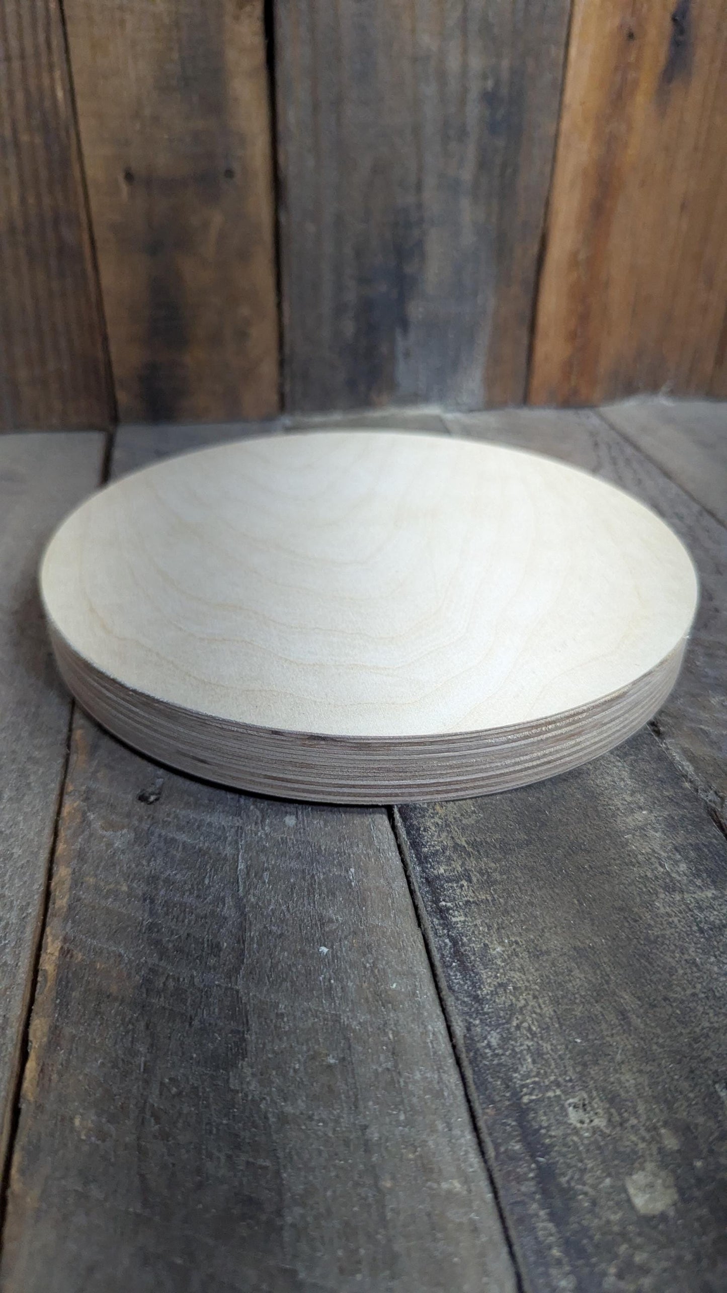 8.75" Baltic Birch Wood Circle, Unfinished DIY Craft Plaque