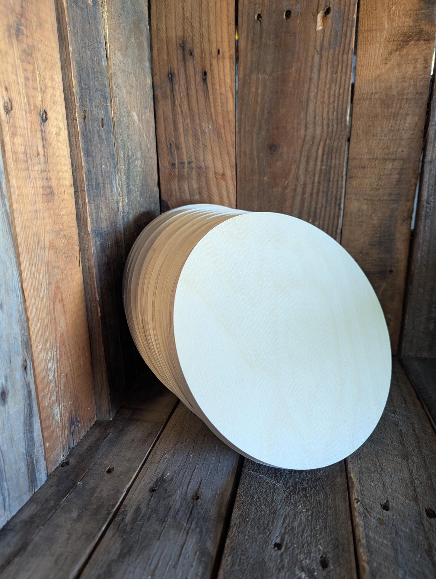 9.375" Baltic Birch Wood Circle, Unfinished Plaque, DIY Craft