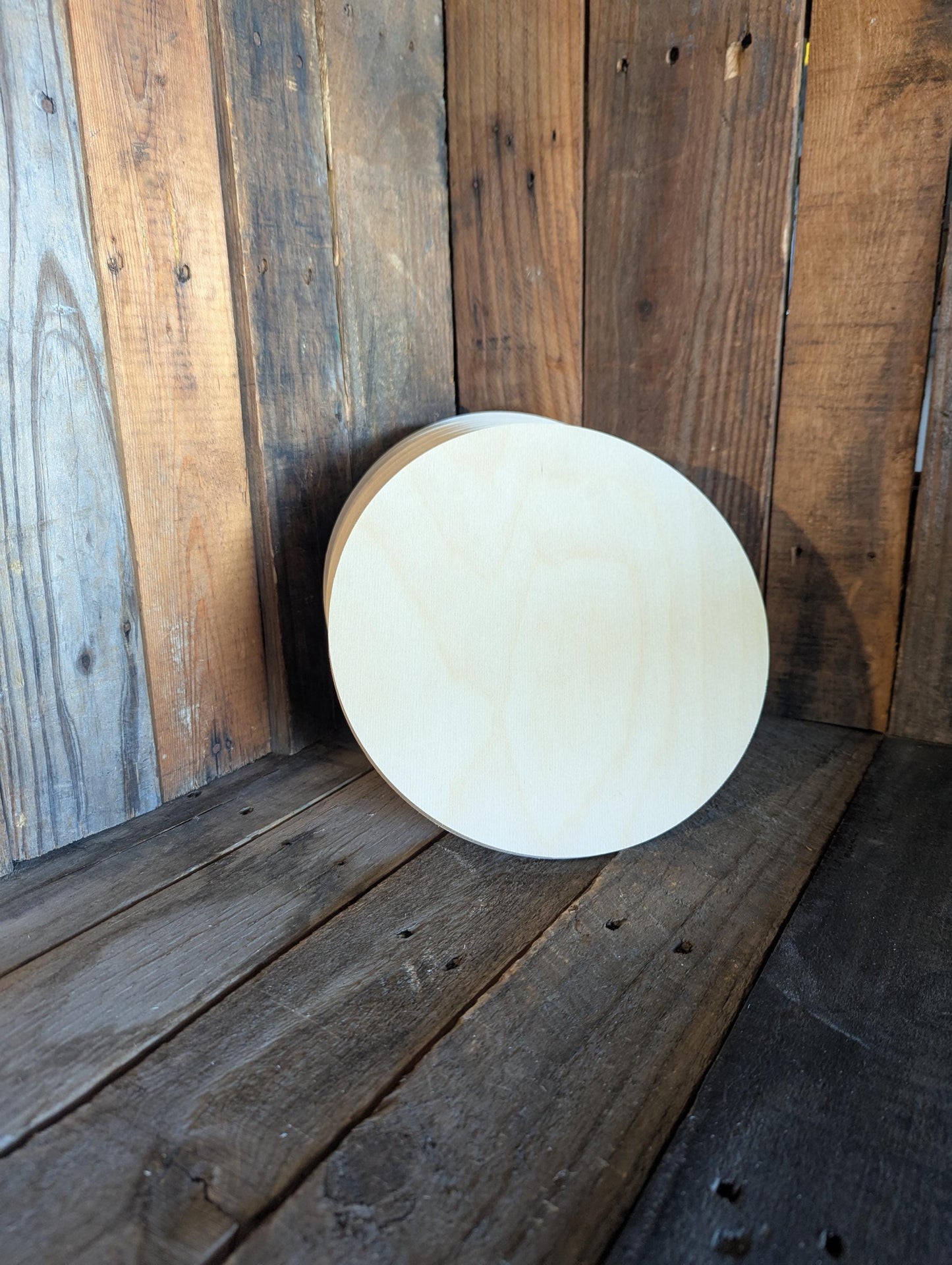 9.375" Baltic Birch Wood Circle, Unfinished Plaque, DIY Craft