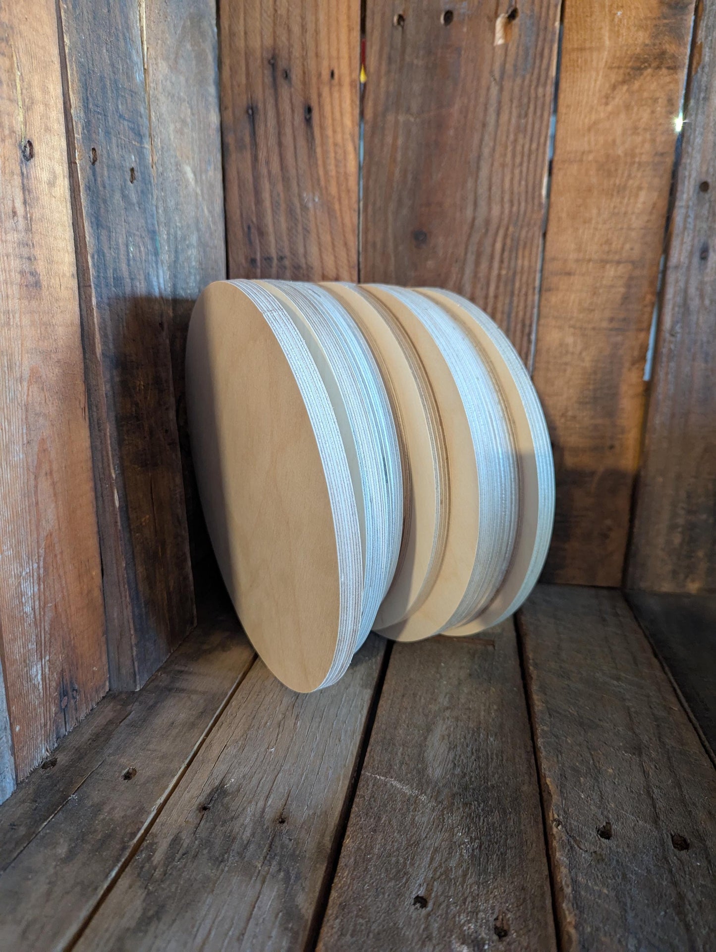 9.375" Baltic Birch Wood Circle, Unfinished Plaque, DIY Craft