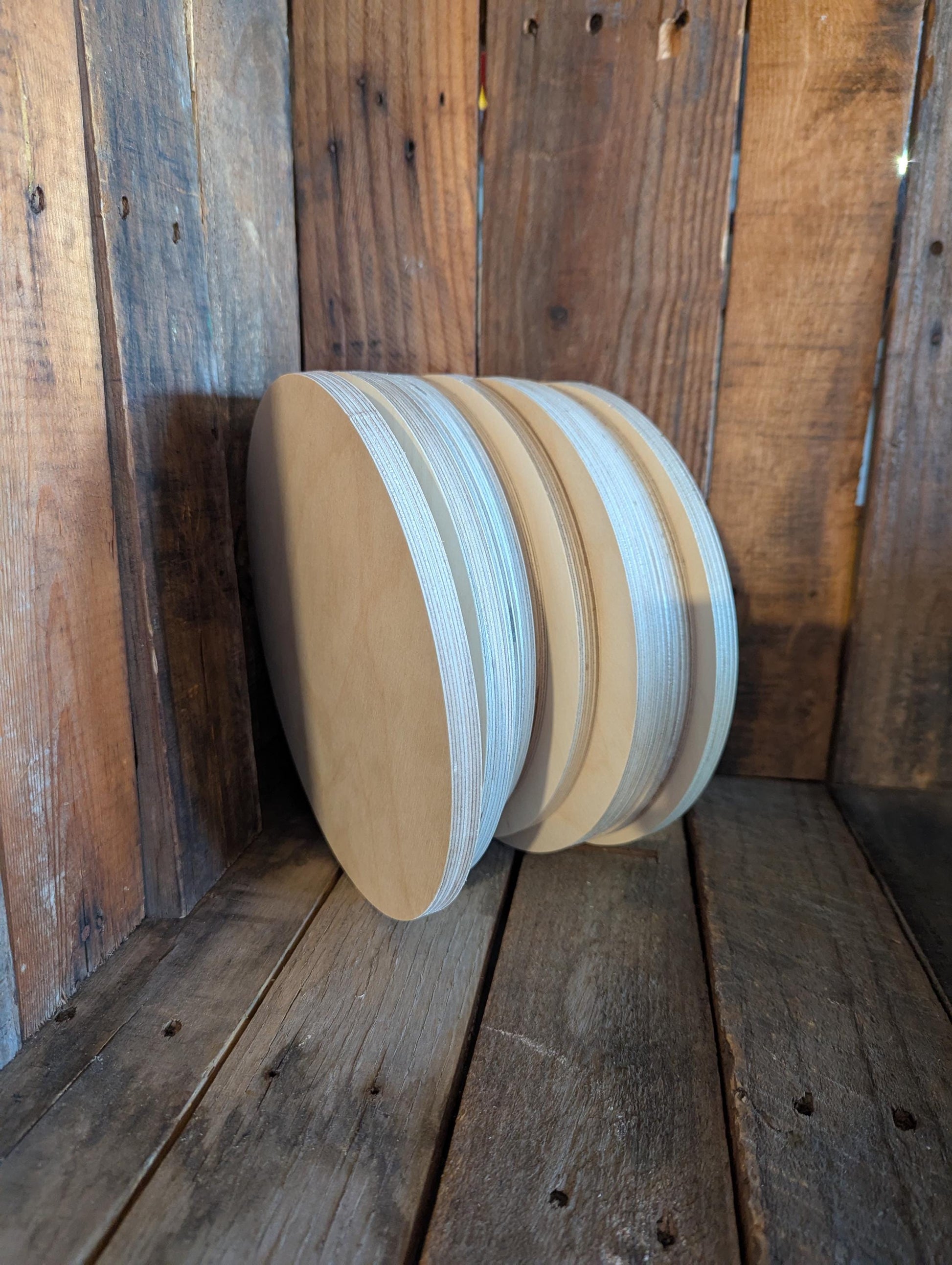 9.375" Baltic Birch Wood Circle, Unfinished Plaque, DIY Craft