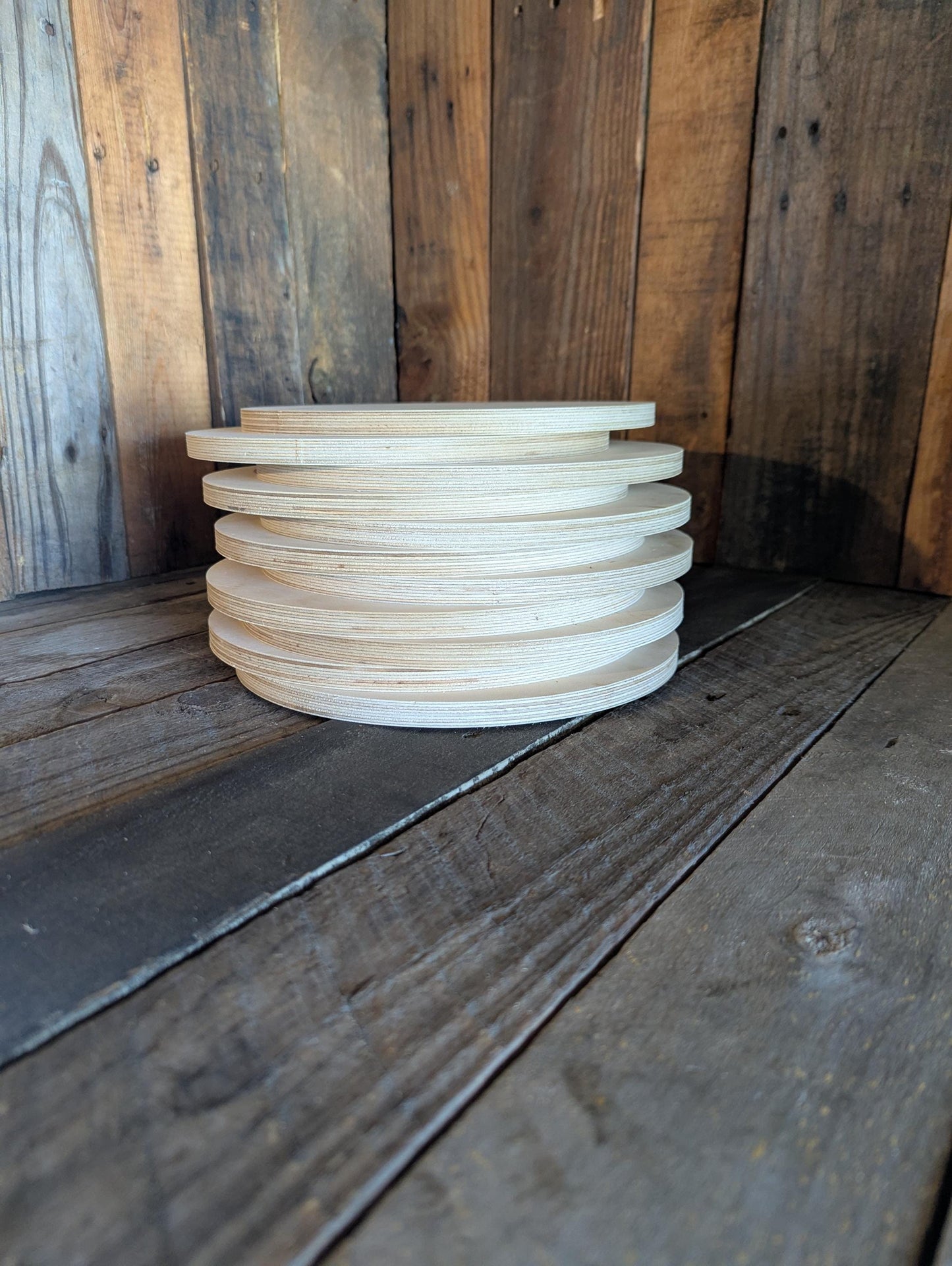 9.375" Baltic Birch Wood Circle, Unfinished Plaque, DIY Craft
