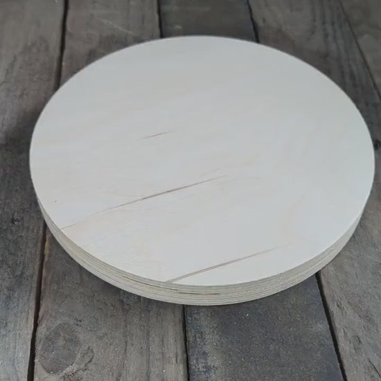 9.5" Baltic Birch Wood Circle, Craft or Sign Blank