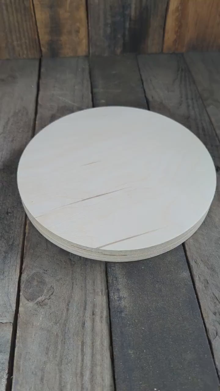 9.5" Baltic Birch Wood Circle, Craft or Sign Blank