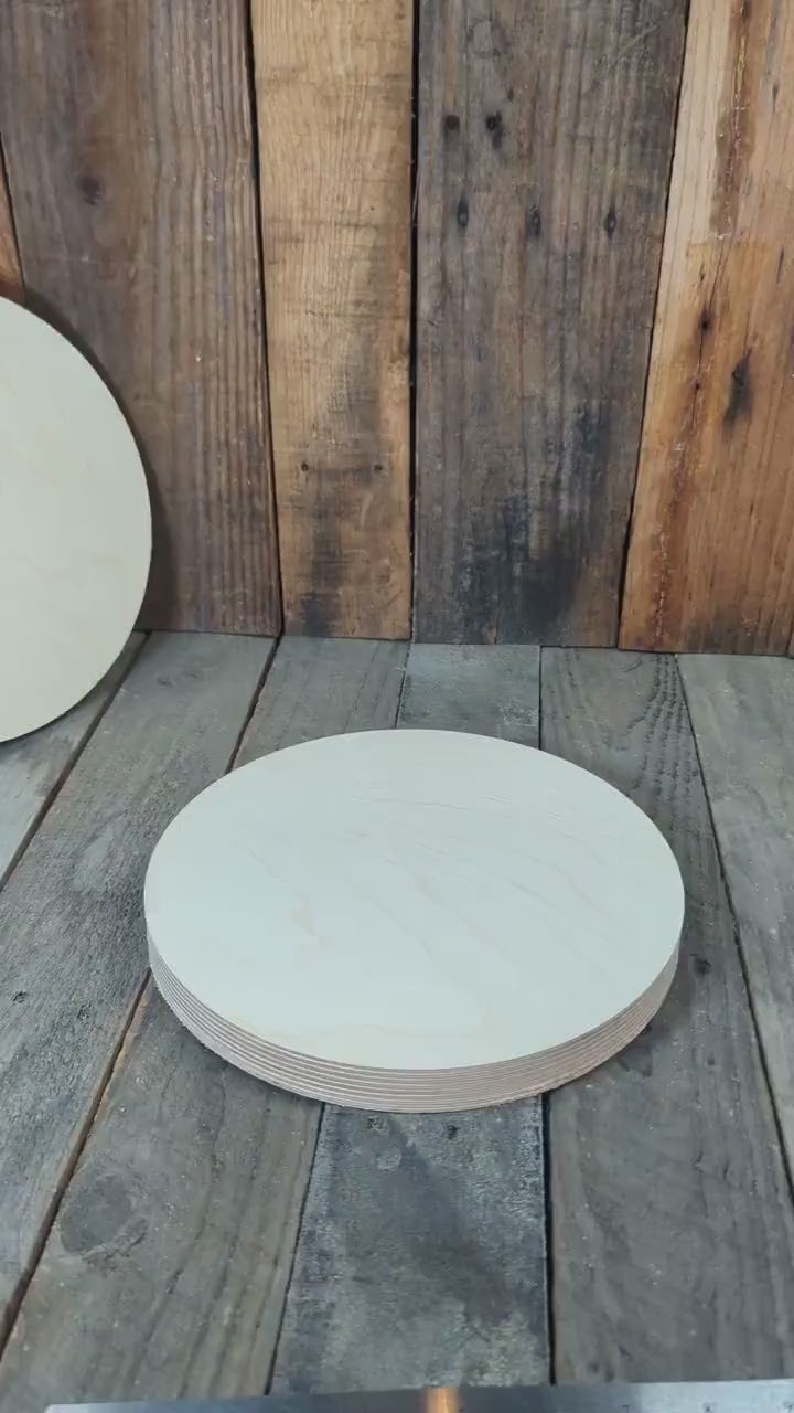 9.75" Baltic Birch Wood Circle, Craft DIY Blank Plaque