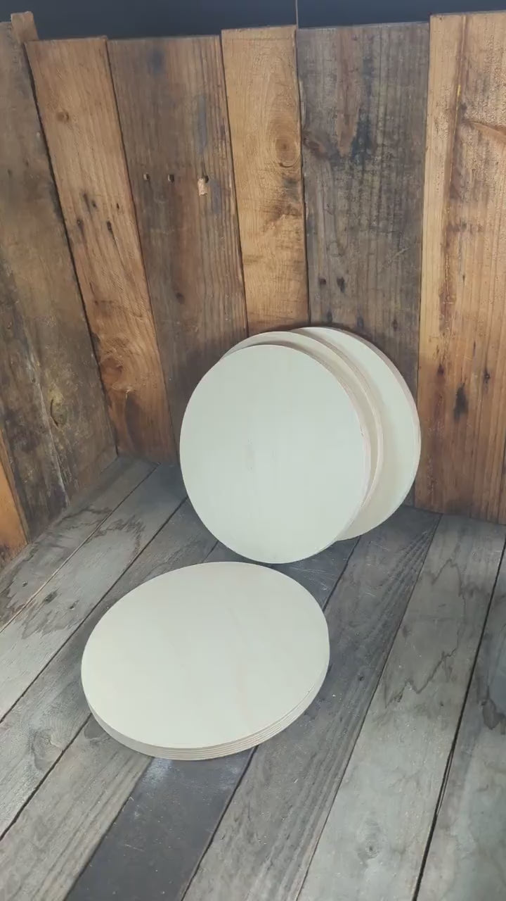 10.625" (10 5/8") Baltic Birch Wood Circle, DIY Craft