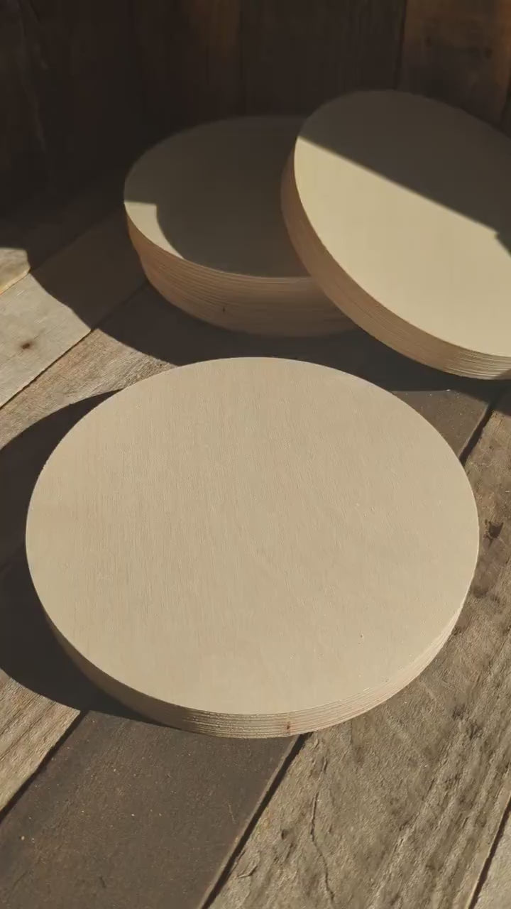 9" Baltic Birch Wood Circle, Craft Plaque, Unfinished Wood